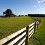 Acreage Fence