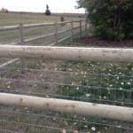 Acreage Fence