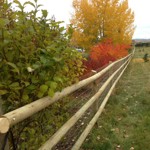 Acreage Fence